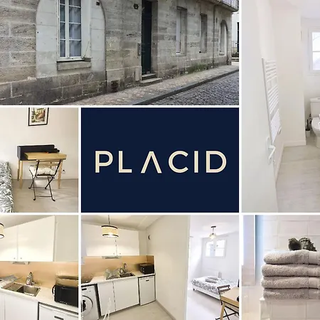 Apartment Le Cocon Des Carmes, Calme Au Coeur Du Vieux Tours